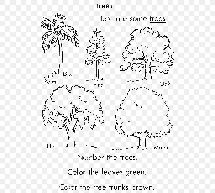 Coloring Book Tree Arecaceae Trunk Pine, PNG, 600x734px, Watercolor, Cartoon, Flower, Frame, Heart Download Free