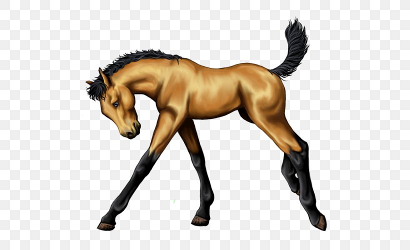 Mane Mustang Foal Stallion Colt, PNG, 500x500px, Mane, Animal Figure, Bridle, Colt, Foal Download Free