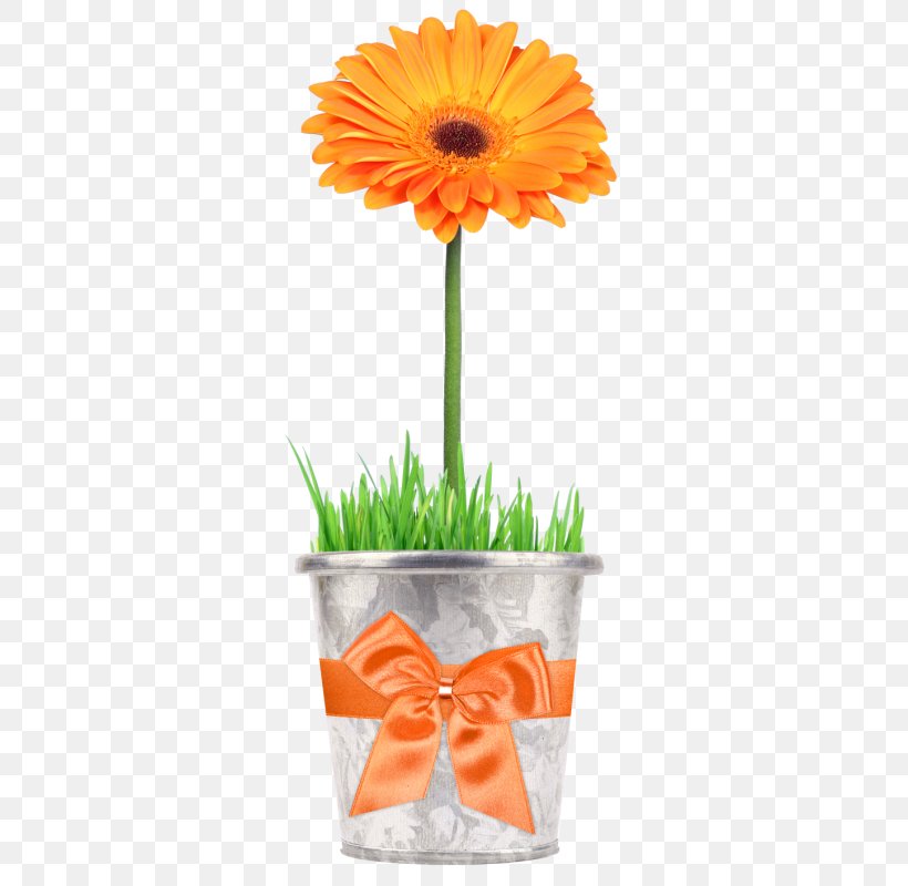 Desktop Wallpaper Flower Clip Art, PNG, 317x800px, Flower, Calendula, Cut Flowers, Daisy Family, Floral Design Download Free