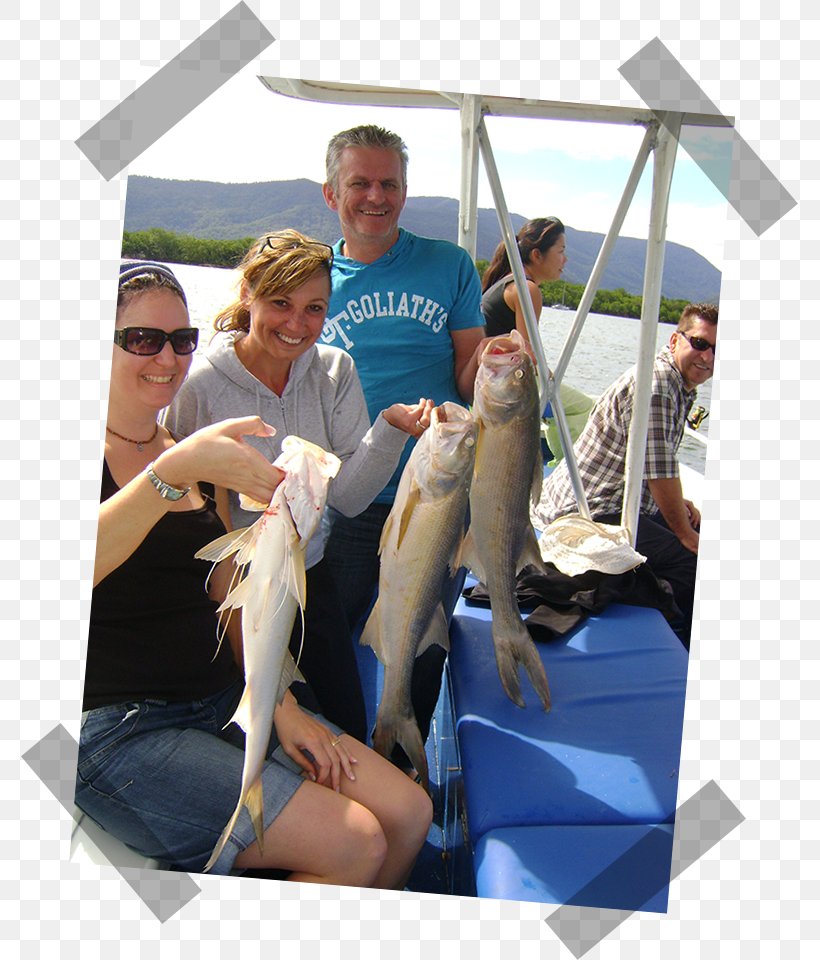 Fish Tales Charters Cairns Sportsfishing Adventures Far North Queensland Leisure, PNG, 777x960px, Fishing, Adventure, Australia, Cairns, Far North Queensland Download Free