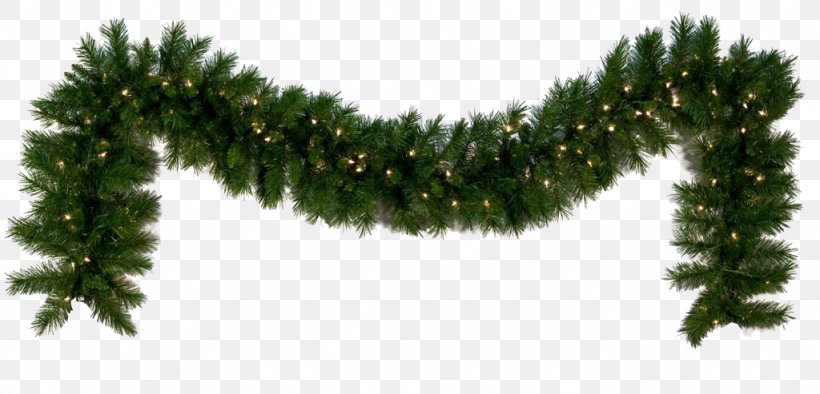 Garland Christmas Day Wreath Image, PNG, 1024x493px, Garland, American Larch, Biome, Branch, Christmas Day Download Free