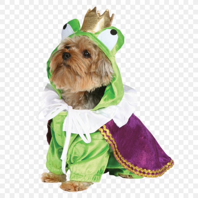 Halloween Costume Clothing Dachshund, PNG, 850x850px, Costume, Carnivoran, Child, Christmas Ornament, Clothing Download Free