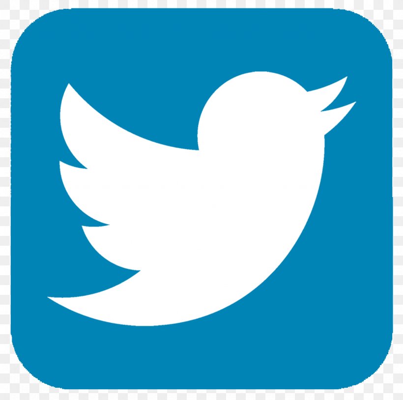 Social Media Logo, PNG, 1280x1271px, Social Media, Area, Artwork, Beak, Bird Download Free