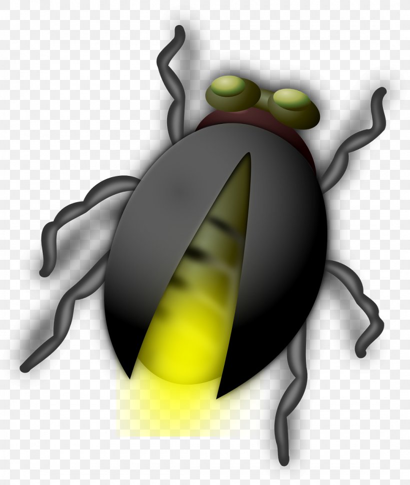 Beetle Firefly Clip Art, PNG, 1080x1280px, Beetle, Drawing, Eremobates Aztecus, Eyewear, Firefly Download Free