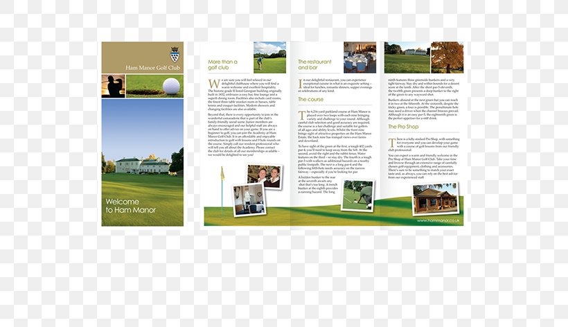 Brand Brochure, PNG, 667x472px, Brand, Advertising, Brochure, Grass Download Free