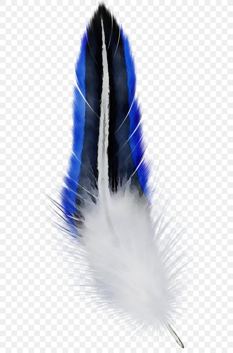 Cobalt Blue Feather, PNG, 669x1239px, Cobalt Blue, Blue, Cobalt, Electric Blue, Fashion Accessory Download Free