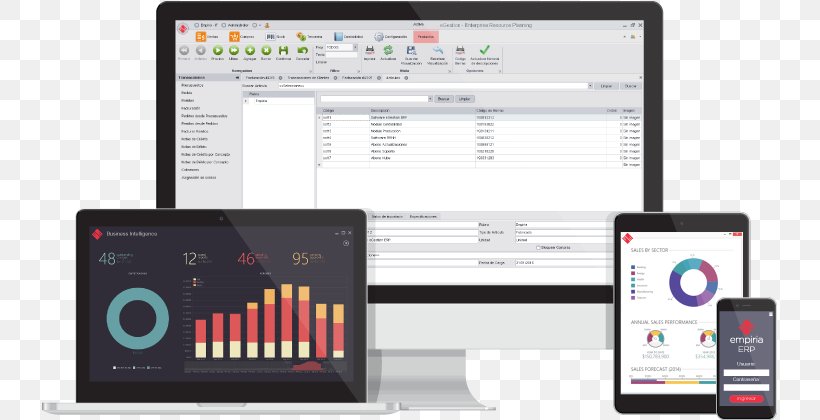 Computer Software Organization EMPIRIA IT CONSULTING SRL Enterprise Resource Planning Multimedia, PNG, 806x420px, Computer Software, Brand, Communication, Communication Device, Computer Download Free