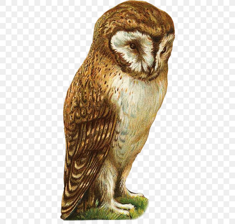 Great Grey Owl Bird Beak Feather, PNG, 404x779px, Great Grey Owl, Barn Owl, Beak, Bird, Bird Of Prey Download Free
