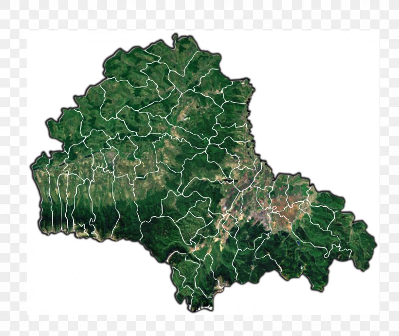 Brașov Făgăraș Victoria Rupea Viștea, PNG, 1214x1024px, Brasov, City, Collard Greens, Leaf, Leaf Vegetable Download Free