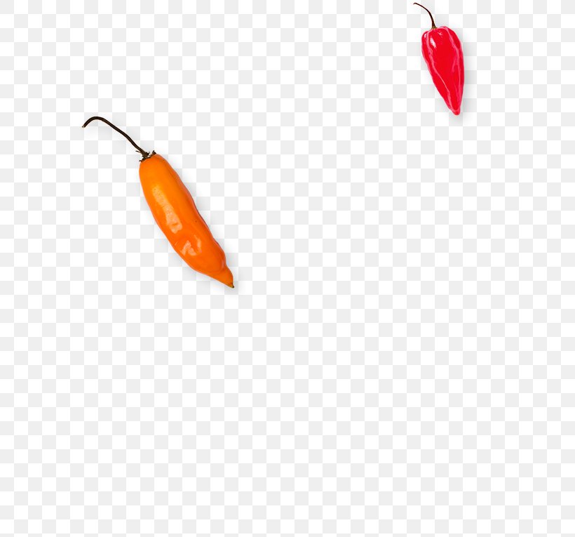 Chili Pepper, PNG, 591x765px, Chili Pepper, Bell Peppers And Chili Peppers, Malagueta Pepper, Orange, Peppers Download Free