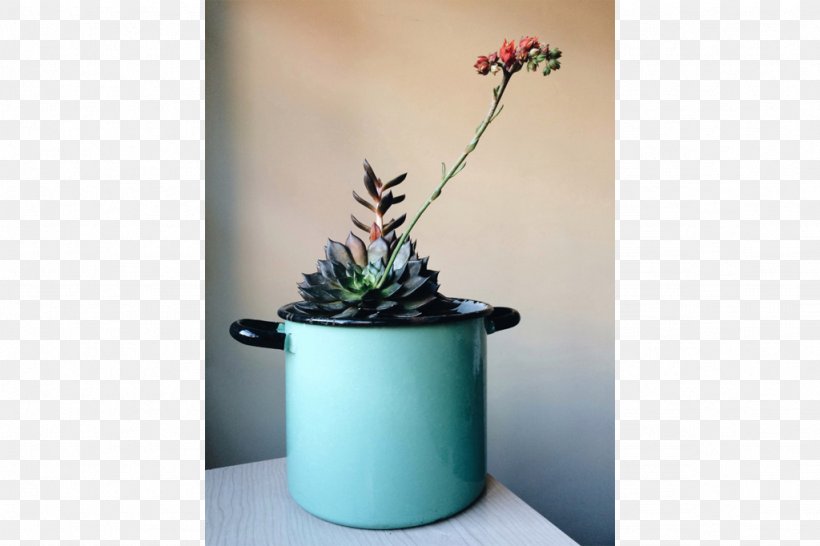 Houseplant Flowerpot Ceramic, PNG, 1024x682px, Houseplant, Ceramic, Flowerpot, Plant, Vase Download Free