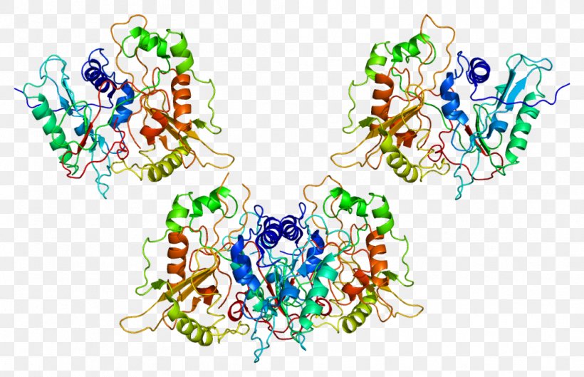 Protein N-myristoyltransferase 1 Myristoylation Enzyme Wikipedia, PNG, 1059x684px, Watercolor, Cartoon, Flower, Frame, Heart Download Free