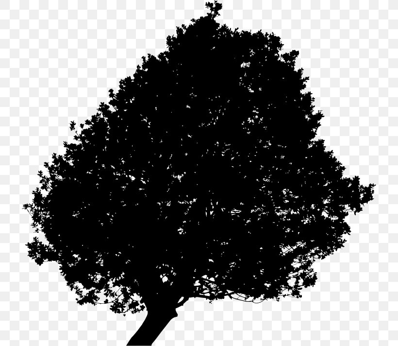 Tree Clip Art, PNG, 730x712px, Tree, Black, Black And White, Branch, Fir Download Free