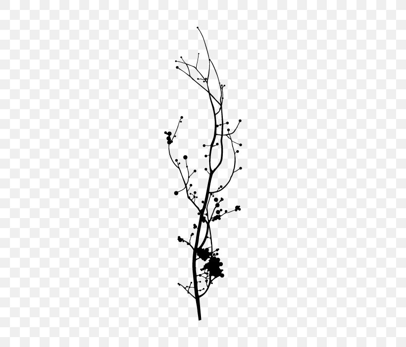 Branch Tree Twig Woody Plant Leaf, PNG, 700x700px, Branch, Black And White, Decorative Arts, Drawing, Flora Download Free