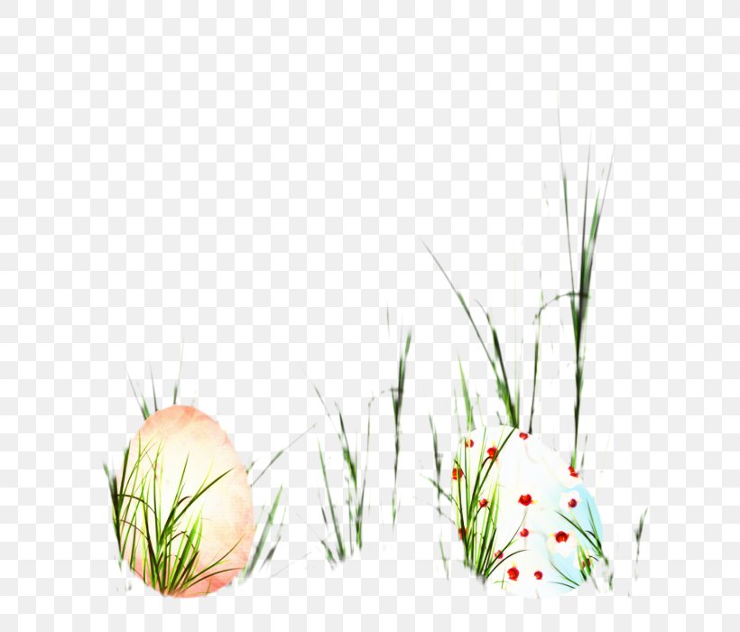 Grasses Easter Egg Desktop Wallpaper Illustration, PNG, 683x700px, Grasses, Botany, Commodity, Computer, Easter Download Free