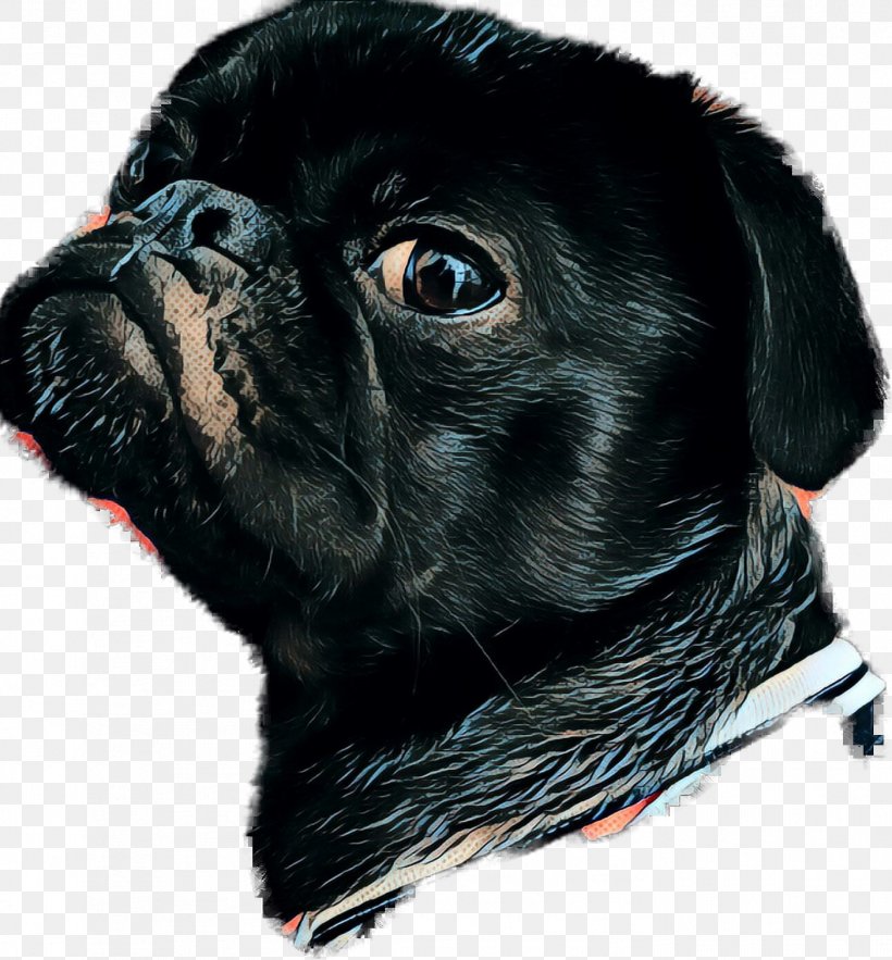 Pug Dog Breed Pet PicsArt Photo Studio Companion Dog, PNG, 1402x1510px, Pug, Animal, Breed, Canidae, Carnivore Download Free