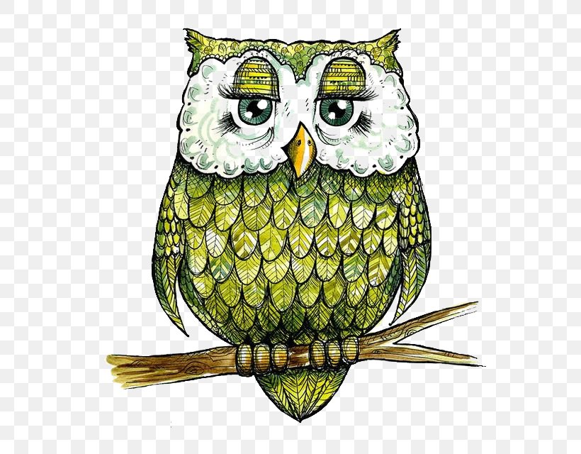 Baby Owls Bird The Four Owls Spoonflower, PNG, 564x640px, Owl, Animal, Baby Owls, Barn Owl, Beak Download Free