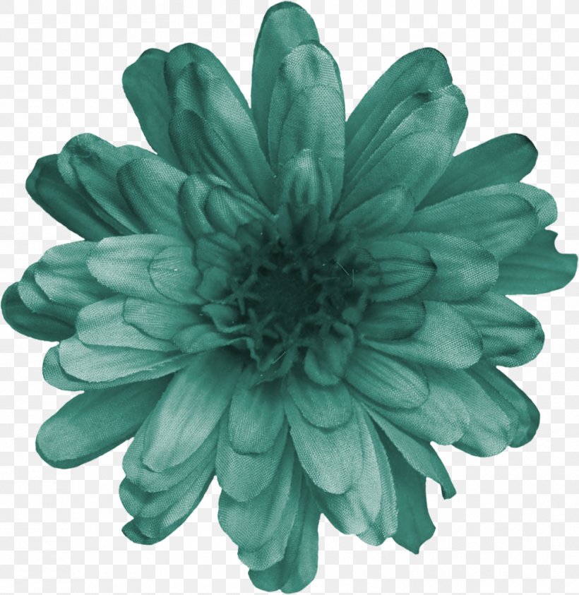 Chrysanthemum Cut Flowers Turquoise, PNG, 993x1022px, Chrysanthemum, Chrysanths, Cut Flowers, Daisy Family, Flower Download Free