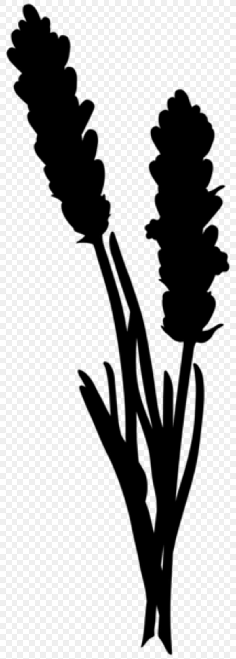 Flower Plant Stem Leaf Clip Art Silhouette, PNG, 800x2285px, Flower, Blackandwhite, Botany, Branching, Flowering Plant Download Free
