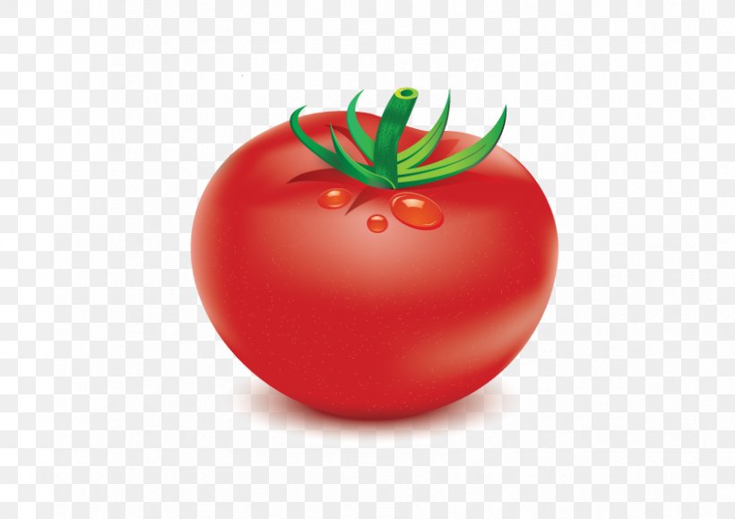 Plum Tomato Food Vegetable Bush Tomato, PNG, 842x595px, Tomato, Bush Tomato, Diet, Diet Food, Food Download Free
