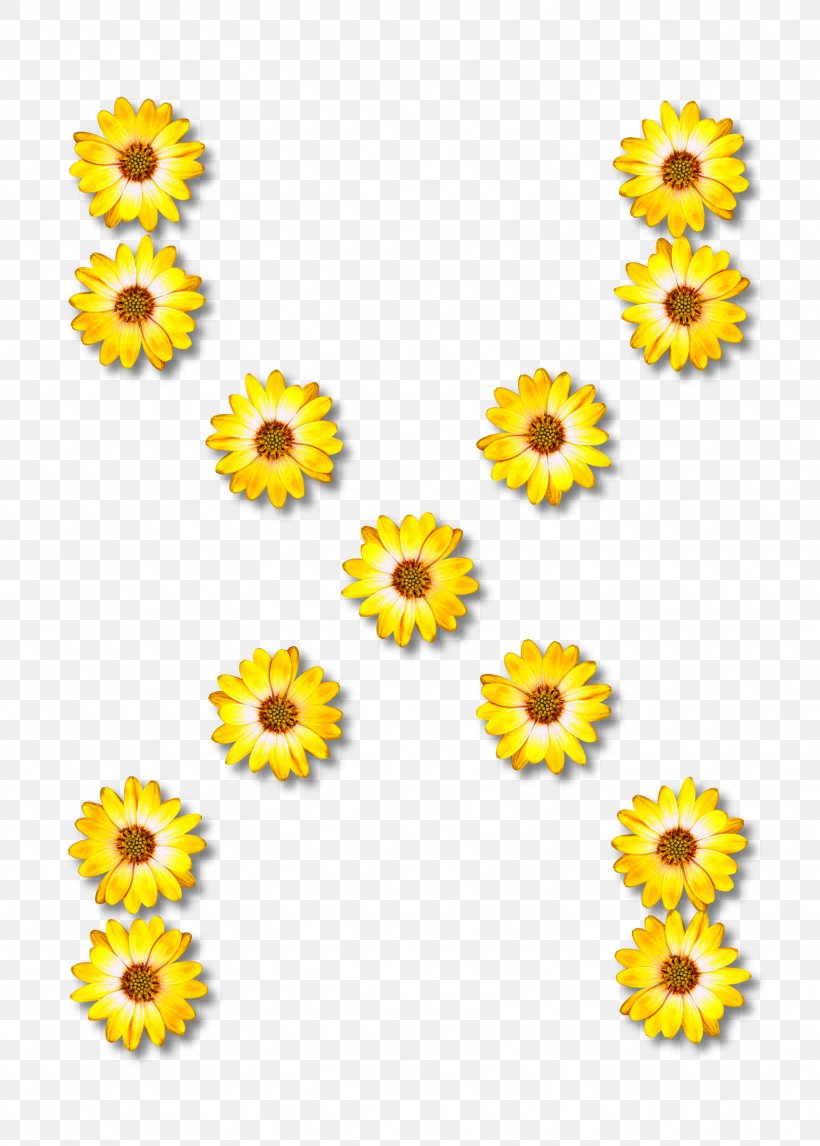 Symbol Drawing, PNG, 1717x2400px, Symbol, Architect, Chrysanths, Cut Flowers, Daisy Family Download Free