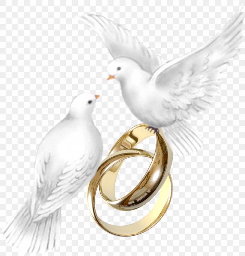 ¿Vale La Pena Casarse? Beak Feather Wedding Ring, PNG, 983x1024px, Beak, Bird, Feather, Marriage, Wedding Download Free