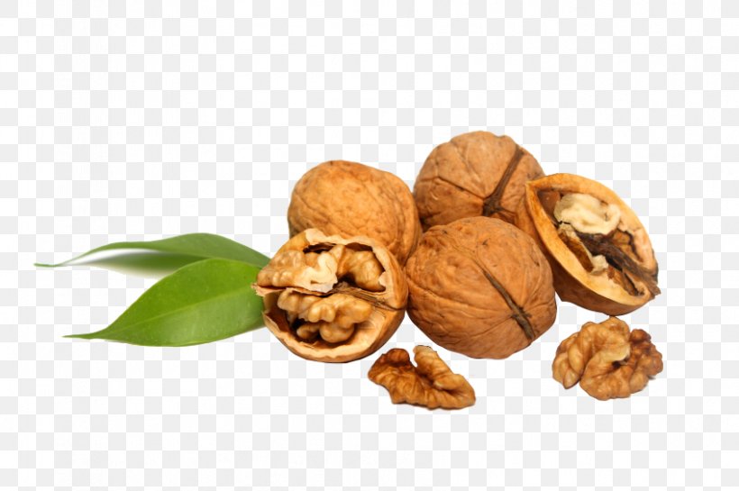 Walnut Tsoureki Milk Calorie Butter, PNG, 849x565px, Walnut, Auglis, Butter, Calorie, Dessert Download Free