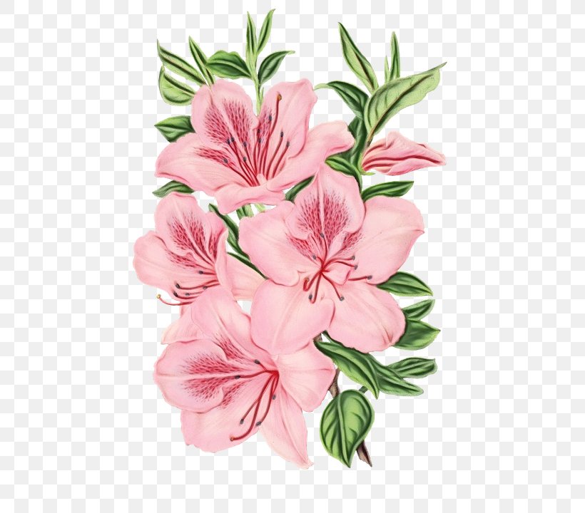Watercolor Pink Flowers, PNG, 478x720px, Watercolor, Azalea, Beauty, Beauty Parlour, Bootstrap Download Free