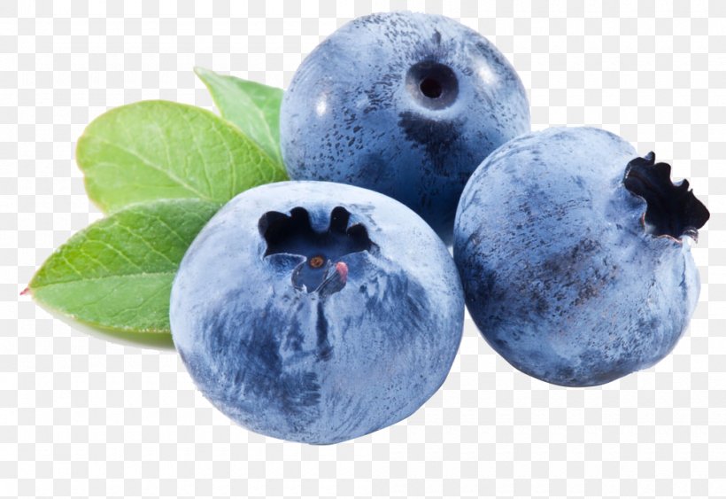 Blueberry Eye Antioxidant Skin Care, PNG, 1000x687px, Fruit, Berry, Bilberry, Blueberry, Blueberry Extract Download Free