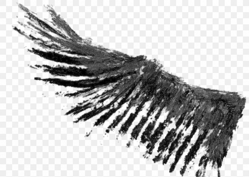 Download, PNG, 1000x710px, Cartoon, Advertising, Art, Black And White, Feather Download Free