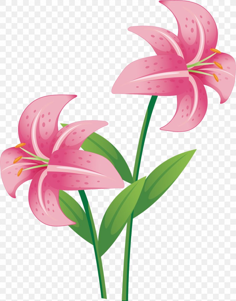 Drawing Stock Photography Vector Graphics Image Illustration, PNG, 1383x1763px, Drawing, Cut Flowers, Flora, Flower, Flowering Plant Download Free