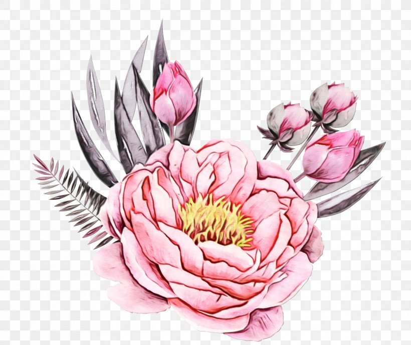 Flowering Plant Flower Pink Plant Petal, PNG, 1167x981px, Watercolor, Aquatic Plant, Flower, Flowering Plant, Lotus Family Download Free