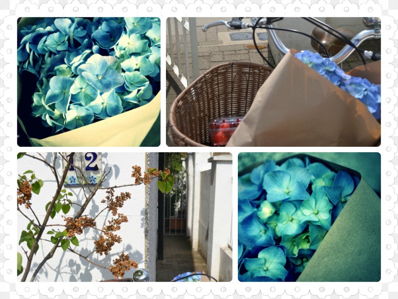 Plastic, PNG, 1024x768px, Plastic, Blue, Flower, Plant Download Free