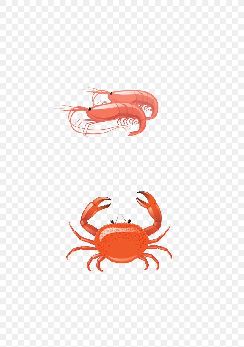 Seafood Lobster Shellfish Clip Art, PNG, 775x1165px, Seafood, Crayfish, Fish, Food, Lobster Download Free