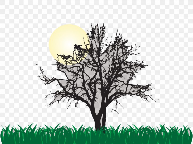 Tree Euclidean Vector Illustration, PNG, 2743x2056px, Tree, Black And White, Branch, Flora, Forest Download Free