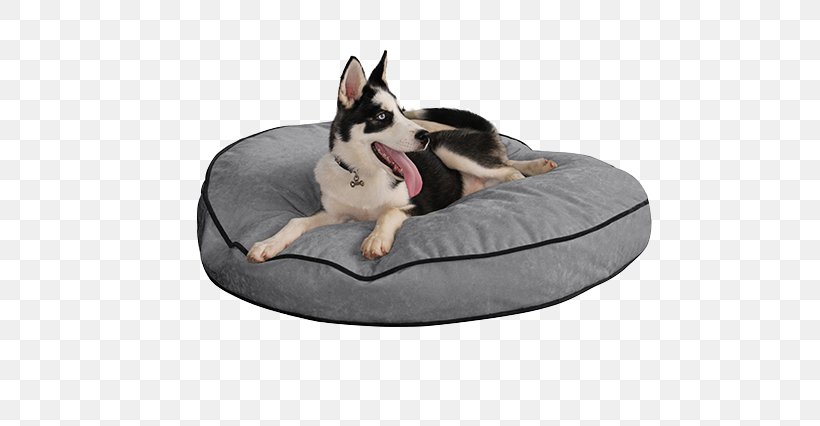 Dog Breed Bed Service Dog Couch, PNG, 621x426px, Dog Breed, Bed, Blanket, Couch, Dog Download Free