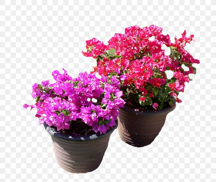 Flowerpot Plant Garden Bougainvillea Glabra, PNG, 1600x1351px, Flowerpot, Annual Plant, Artificial Flower, Azalea, Bougainvillea Download Free
