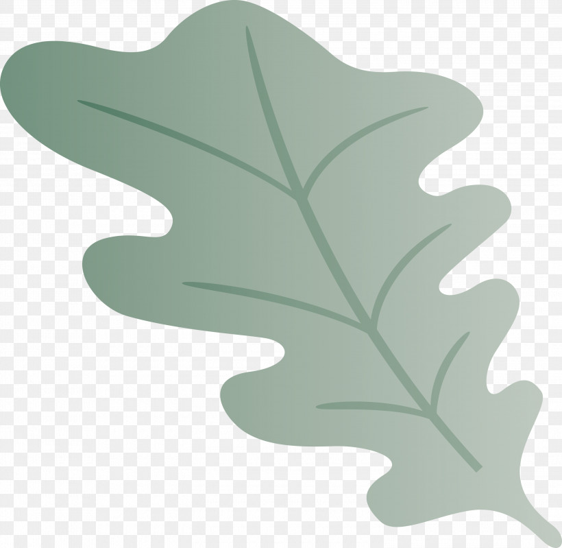 Oak Leaf, PNG, 3000x2926px, Oak Leaf, Biology, Leaf, Plant Structure, Plants Download Free