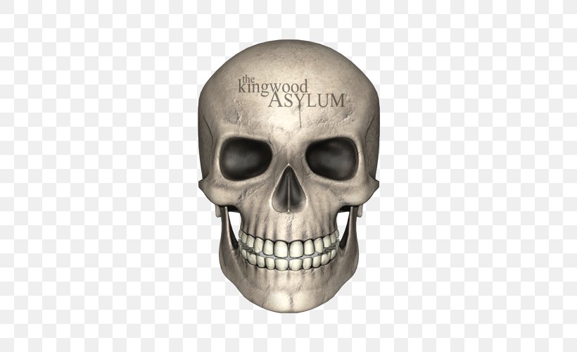 Skull Bone Human Skeleton, PNG, 500x500px, Skull, Bone, Human Skeleton, Jaw, Skeleton Download Free
