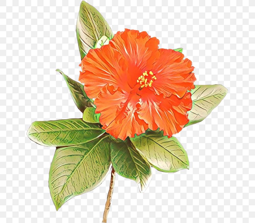 Artificial Flower, PNG, 650x717px, Cartoon, Artificial Flower, Cut Flowers, Flower, Hawaiian Hibiscus Download Free