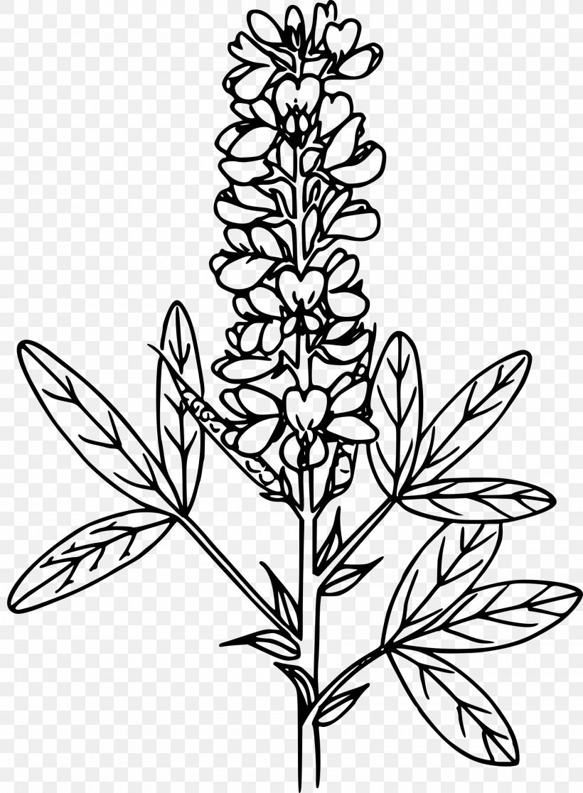 Clip Art, PNG, 1763x2400px, Monochrome, Art, Black And White, Branch, Cut Flowers Download Free