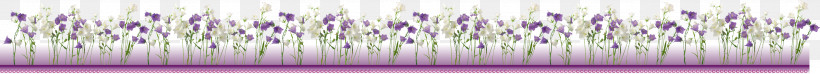 Flower Border Flower Background Floral Line, PNG, 4711x427px, Flower Border, Floral Line, Flower Background, Line, Text Download Free
