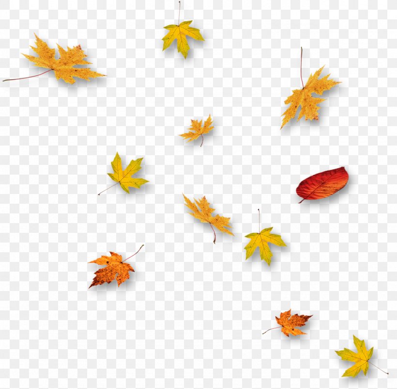 Leaf, PNG, 1280x1253px, Leaf, Autumn, Branch, Flower, Internet Download Free