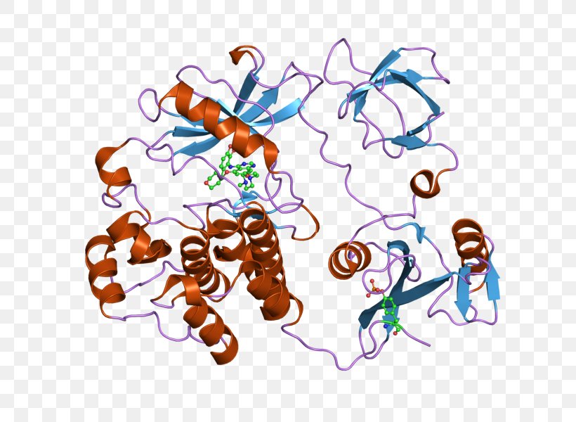 Proto-oncogene Tyrosine-protein Kinase Src Tyrosine Kinase, PNG, 800x600px, Kinase, Art, Insect, Invertebrate, Membrane Winged Insect Download Free