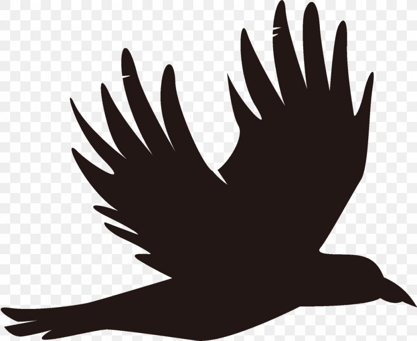 Raven Halloween Crow, PNG, 1026x840px, Raven, Beak, Bird, Claw, Crow Download Free