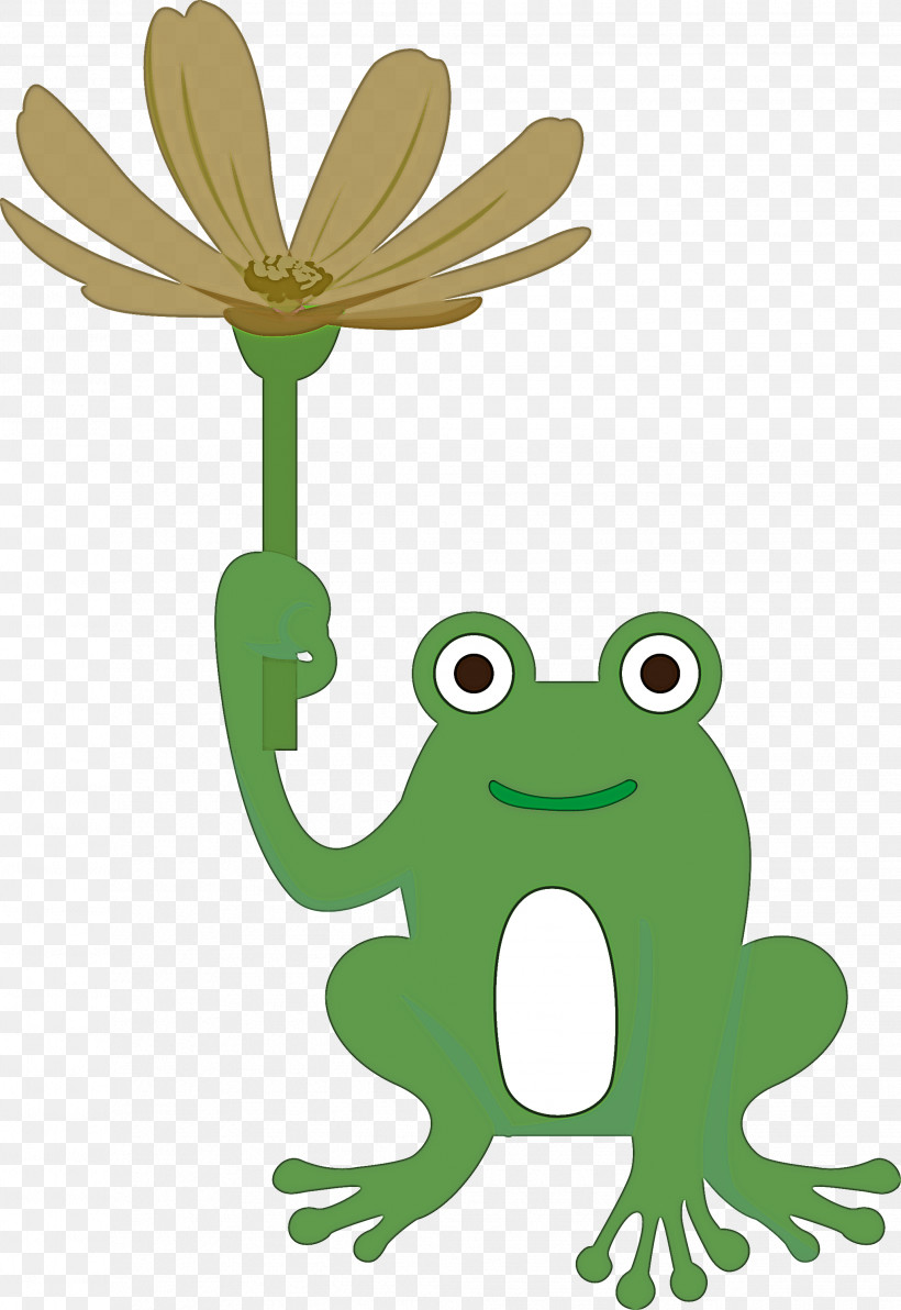 True Frog Toad Frogs Cartoon Tree Frog, PNG, 2063x3000px, Frog, Biology, Cartoon, Flower, Frogs Download Free