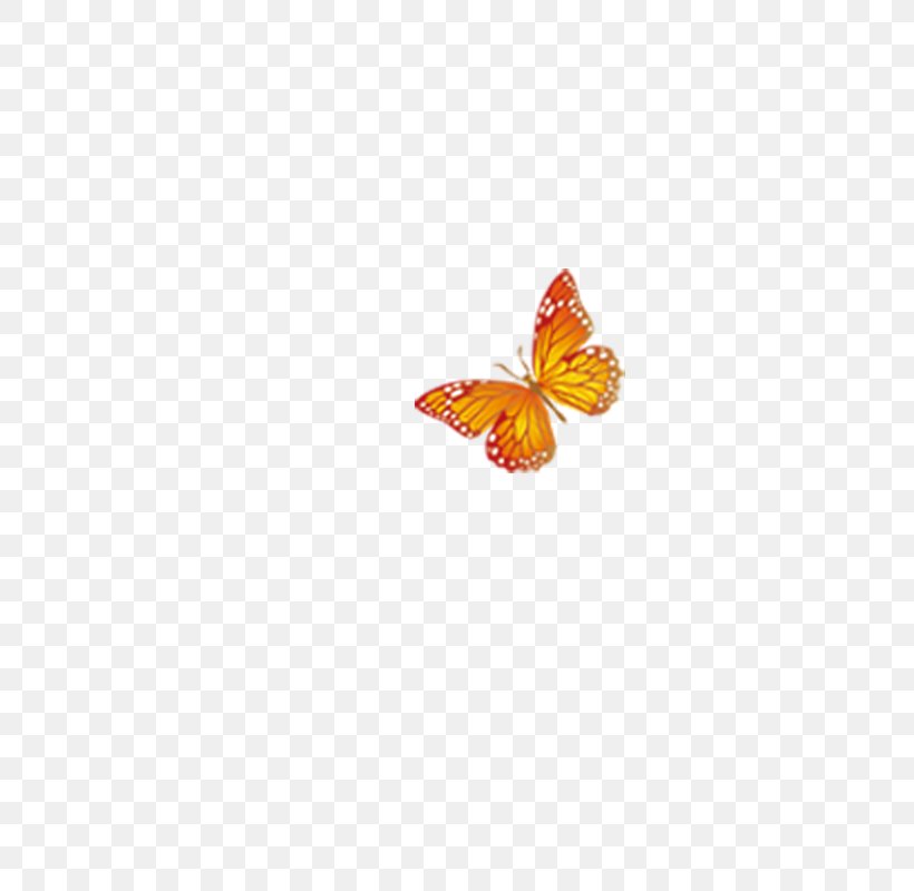 Butterfly Pattern, PNG, 800x800px, Butterfly, Insect, Invertebrate, Moths And Butterflies, Orange Download Free