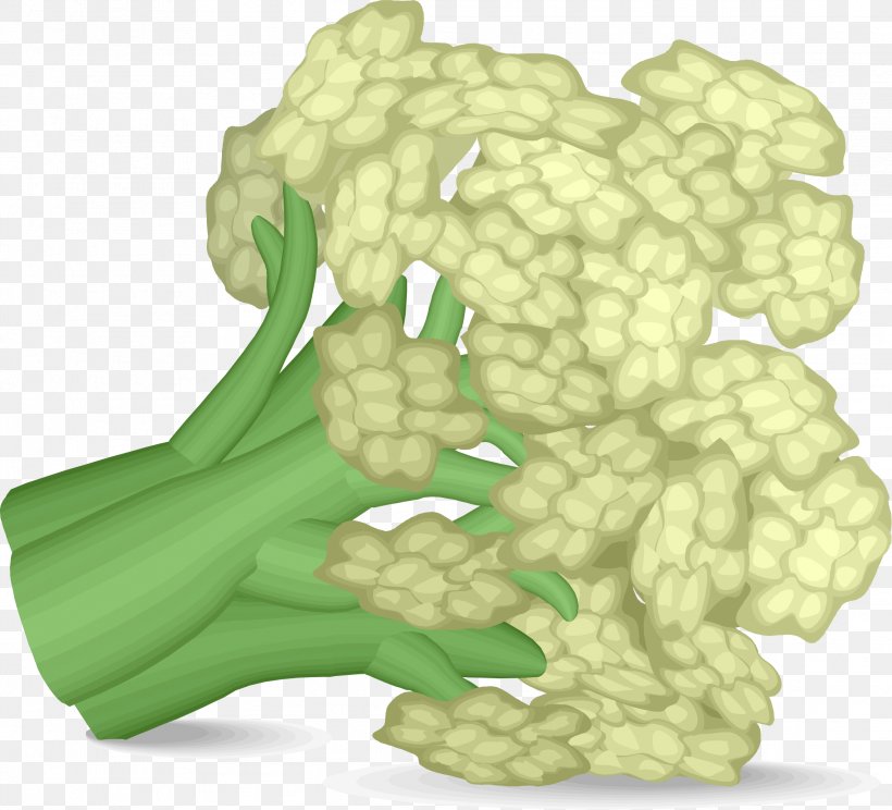 Cauliflower Vegetable Broccoli Clip Art, PNG, 2283x2074px, Cauliflower, Artichoke, Asparagus, Broccoli, Cabbage Download Free