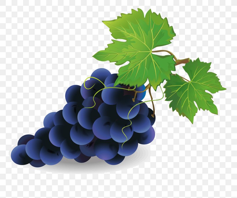 Grape Pie Common Grape Vine Wine Clip Art, PNG, 800x684px, Grape Pie, Bilberry, Common Grape Vine, Food, Fruit Download Free