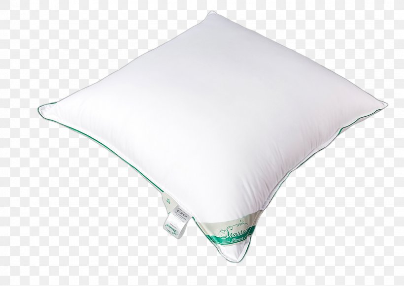 Product Design Pillow, PNG, 1748x1240px, Pillow Download Free